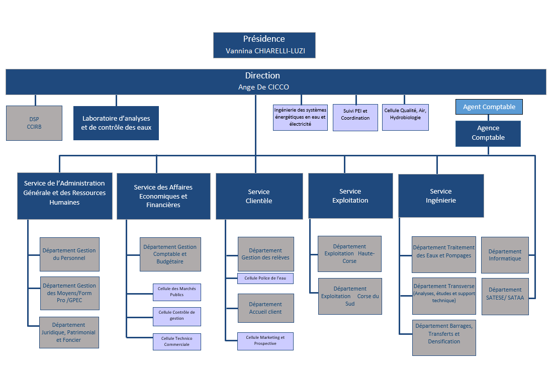 Organigramme 2024